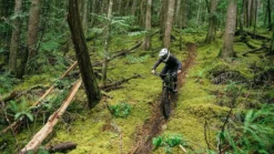 Specialized Gambit MIPS Full Face MTB Helmet - White/Sage -CycloPro Shop 60222 10310